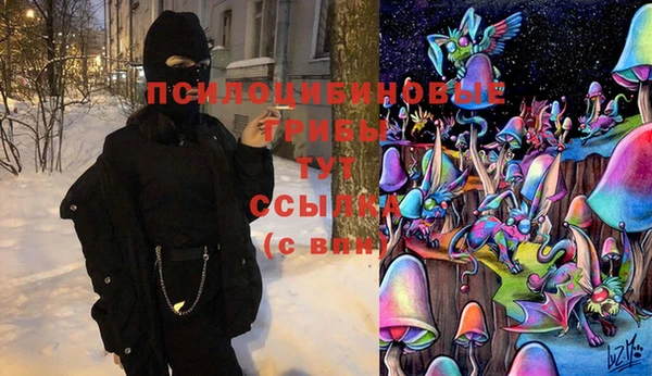 а пвп мука Дмитриев