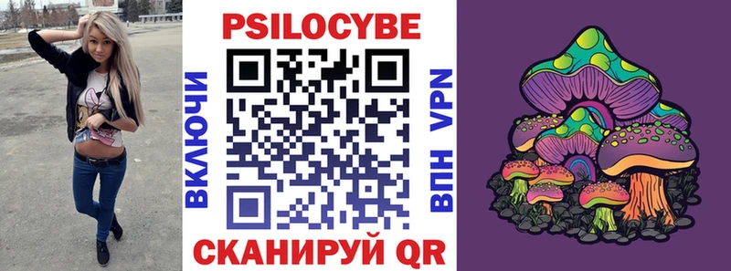 Купить где  Кизилюрт  Псилоцибиновые грибы GOLDEN TEACHER 