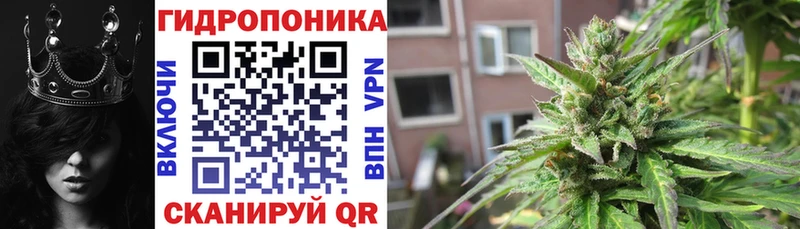 Купить  Кизилюрт  Канабис ГИДРОПОН 