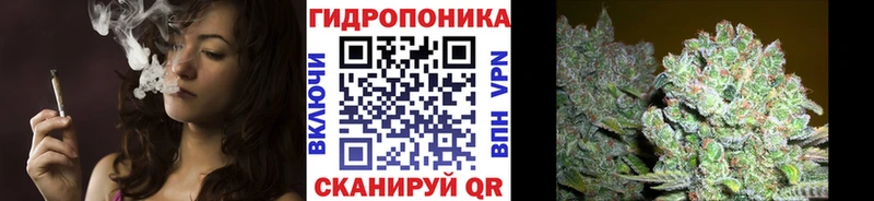 Канабис VHQ Кизилюрт